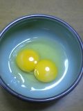 061221_egg.jpg(4008 byte)